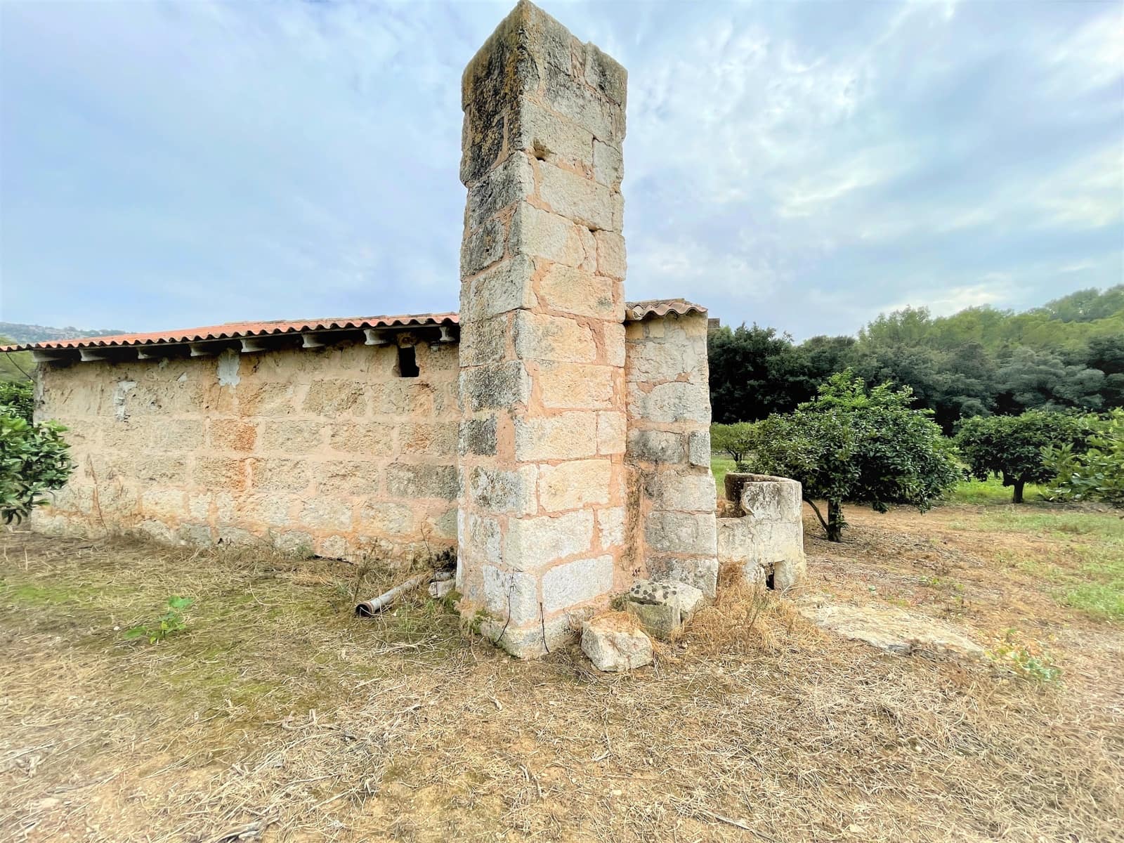 4 soveværelse Finca/Landehus til salg i Sa Pobla med swimmingpool garage - € 1.300.000 (Ref: 7225795)