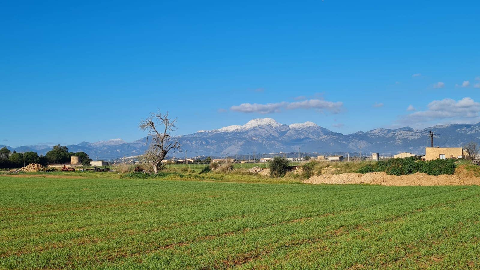 Building Plot for sale in Sa Pobla - € 395,000 (Ref: 7405070)