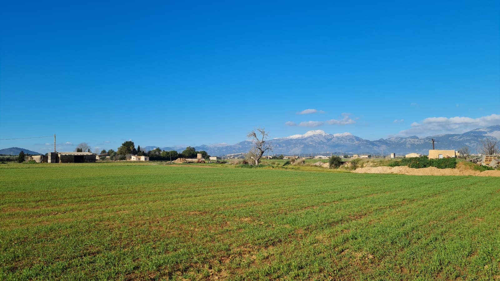 Building Plot for sale in Sa Pobla - € 395,000 (Ref: 7405070)