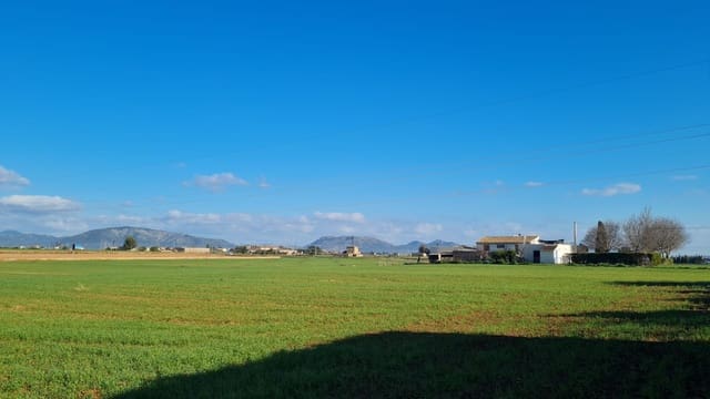 Byggetomt til salgs i Sa Pobla - € 395 000 (Ref: 7405070)