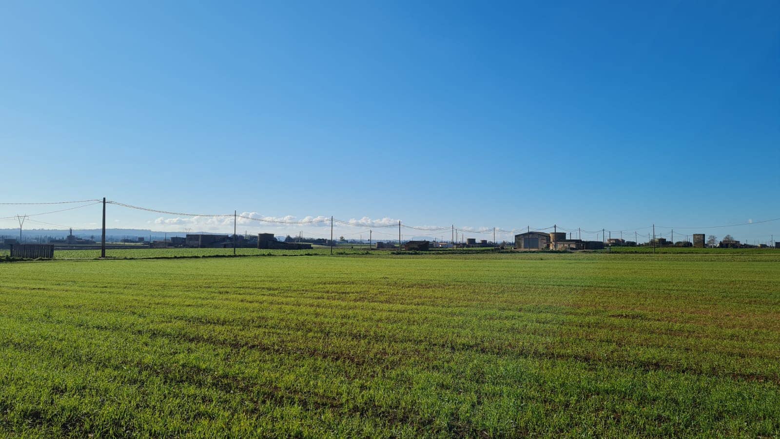 Building Plot for sale in Sa Pobla - € 395,000 (Ref: 7405070)