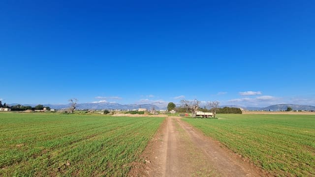 Byggetomt til salgs i Sa Pobla - € 395 000 (Ref: 7405070)