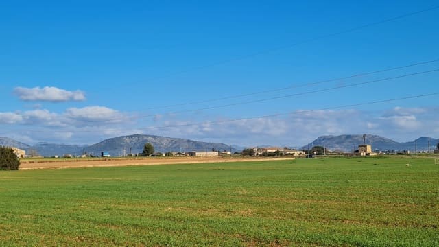 Byggetomt til salgs i Sa Pobla - € 395 000 (Ref: 7405070)