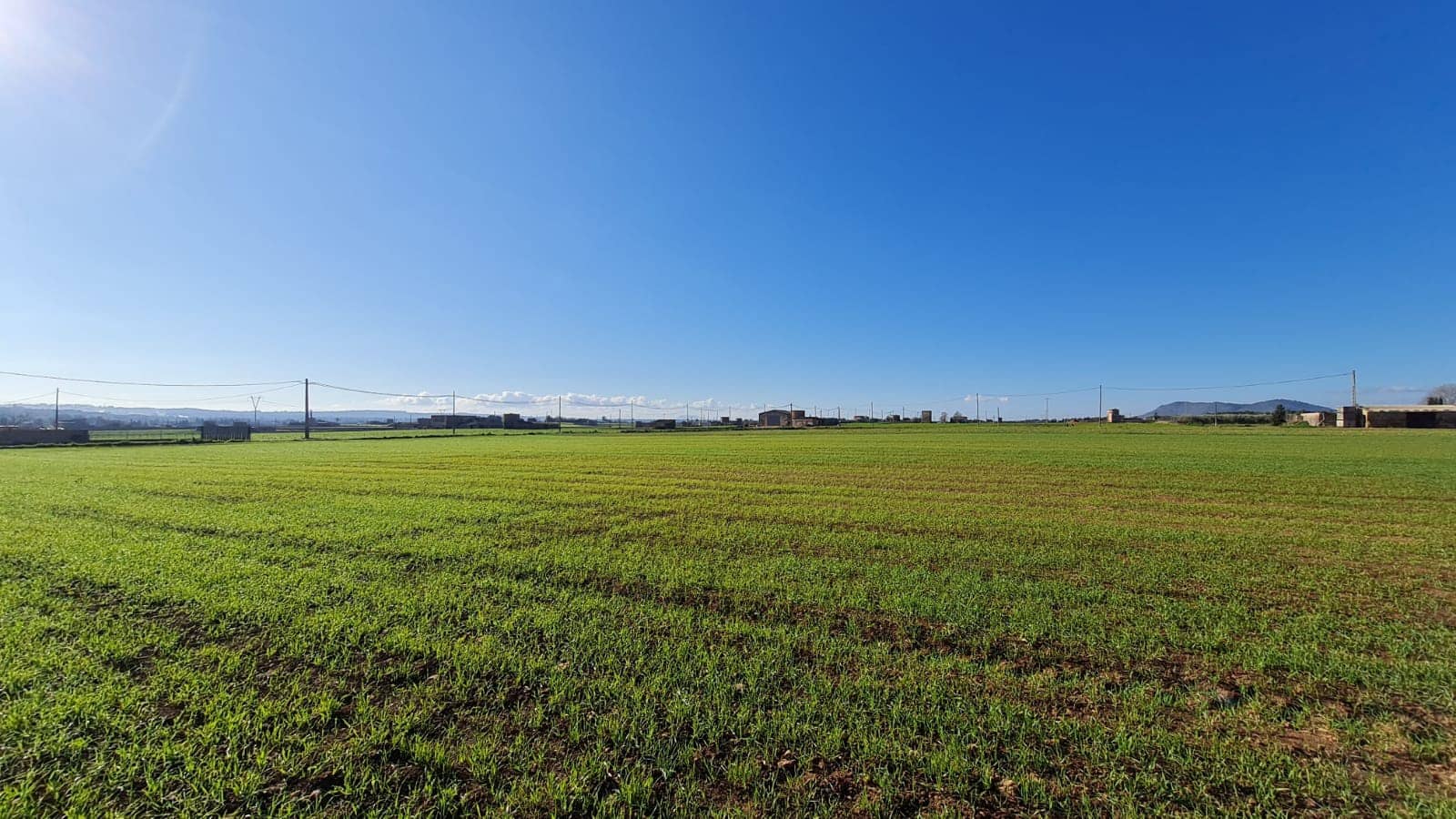 Building Plot for sale in Sa Pobla - € 395,000 (Ref: 7405070)