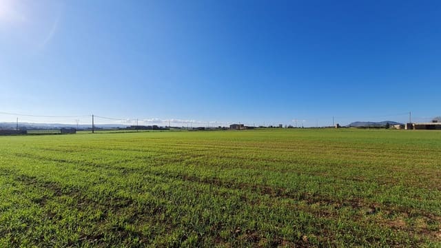 Byggetomt til salgs i Sa Pobla - € 395 000 (Ref: 7405070)