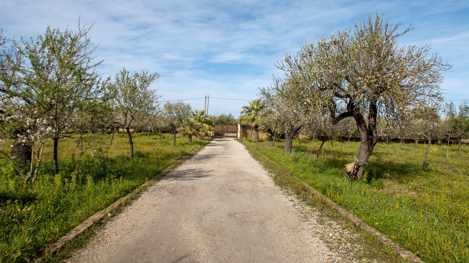 4 Zimmer Finca/Landgut zu verkaufen in Buger mit Pool Garage - 1.600.000 € (Ref: 7409646)