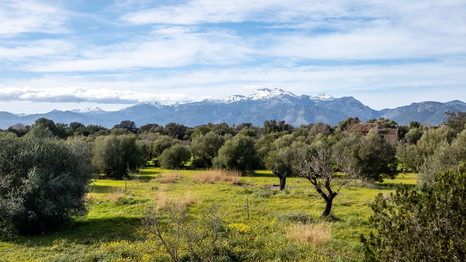 4 Zimmer Finca/Landgut zu verkaufen in Buger mit Pool Garage - 1.600.000 € (Ref: 7409646)