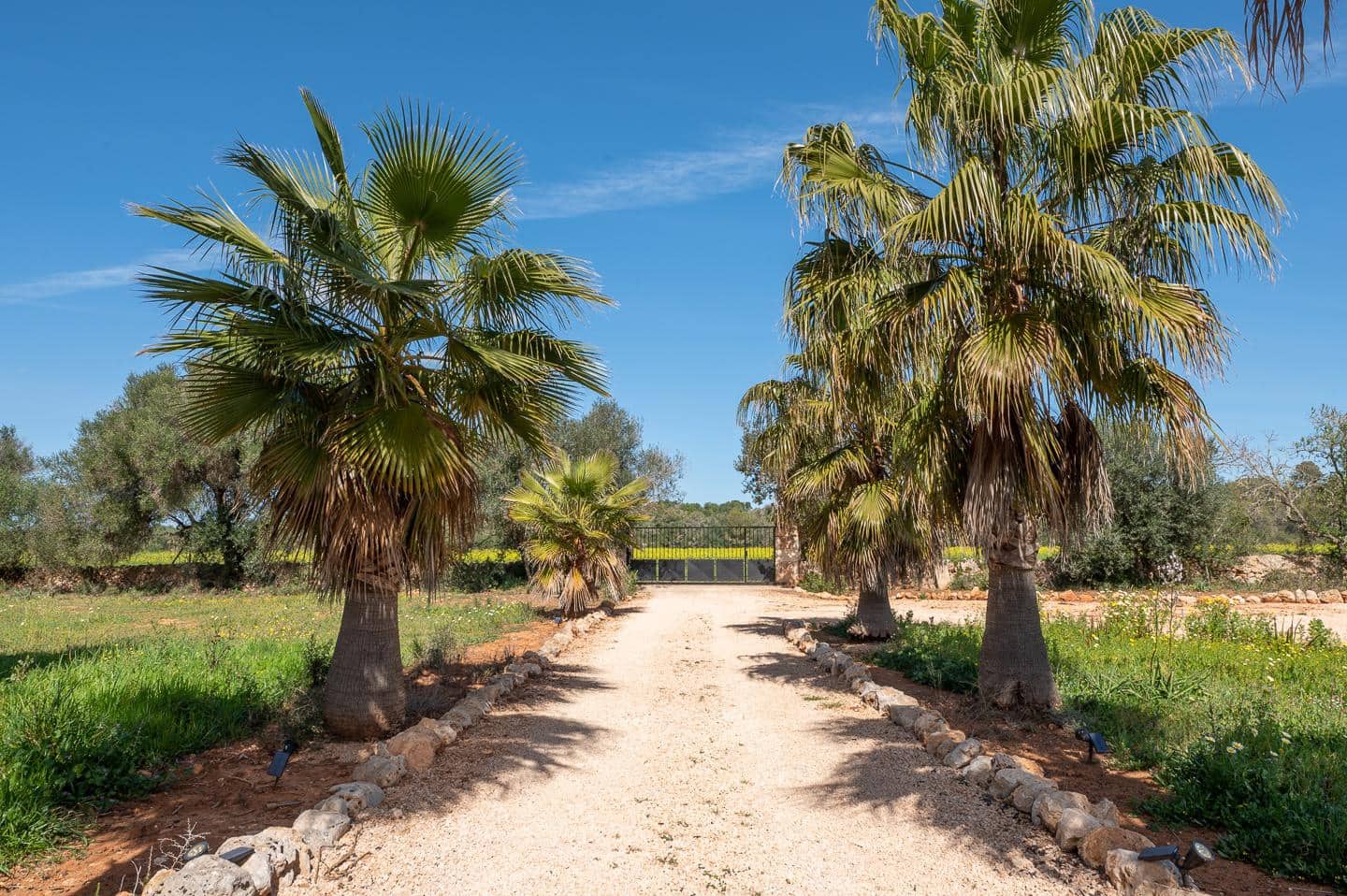 5 bedroom Finca/Country House for rent in Campos with pool garage - € 7,000 (Ref: 7458043)