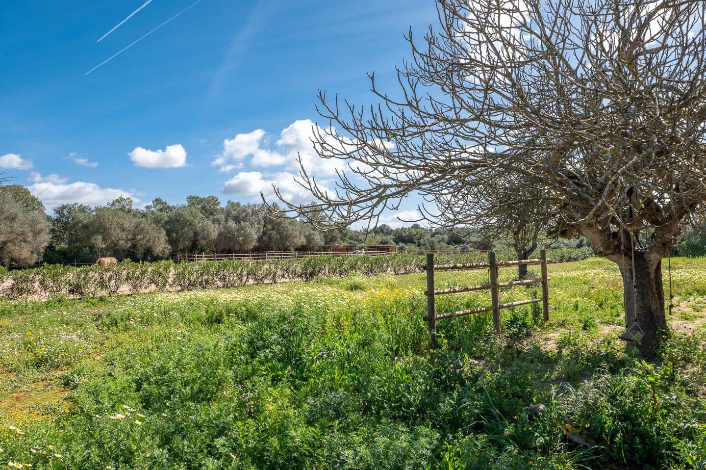 5 bedroom Finca/Country House for rent in Campos with pool garage - € 7,000 (Ref: 7458043)