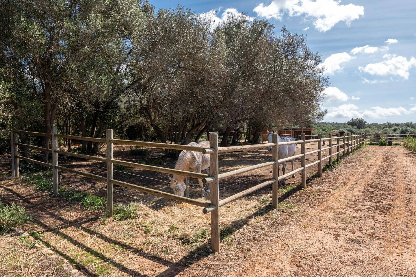 5 bedroom Finca/Country House for rent in Campos with pool garage - € 7,000 (Ref: 7458043)