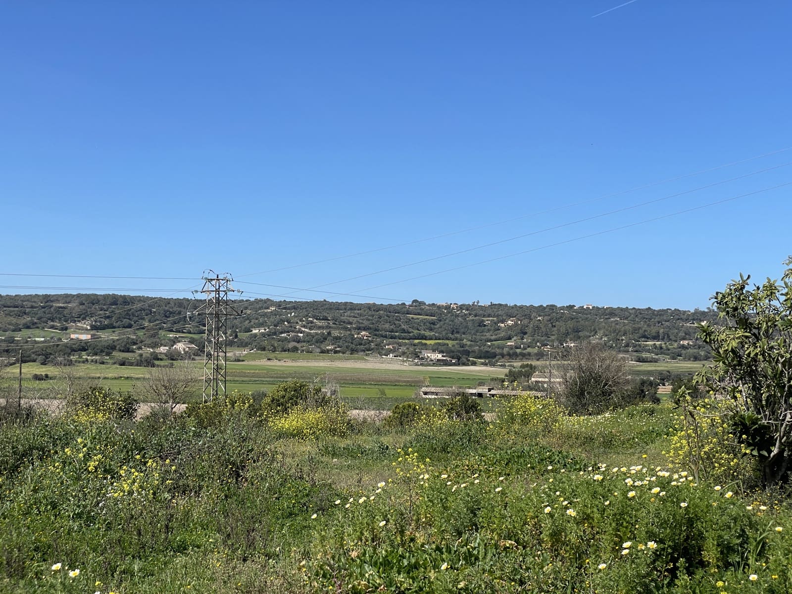 Byggetomt til salgs i Manacor - € 200 000 (Ref: 7459503)