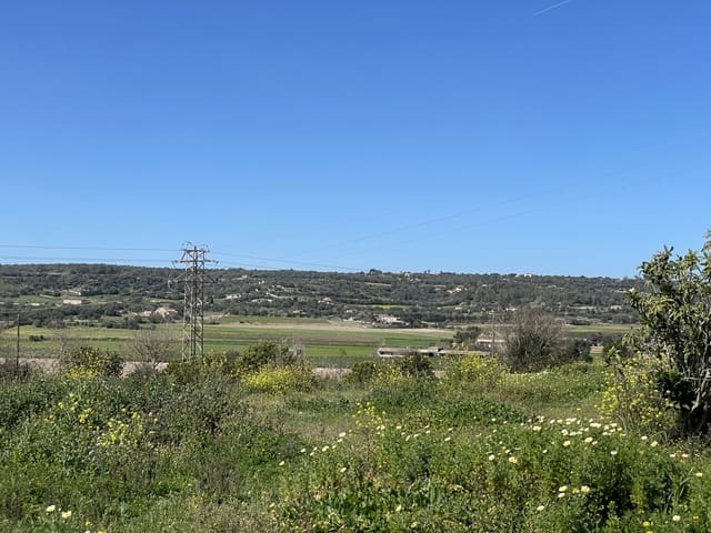 Byggetomt til salgs i Manacor - € 200 000 (Ref: 7459503)