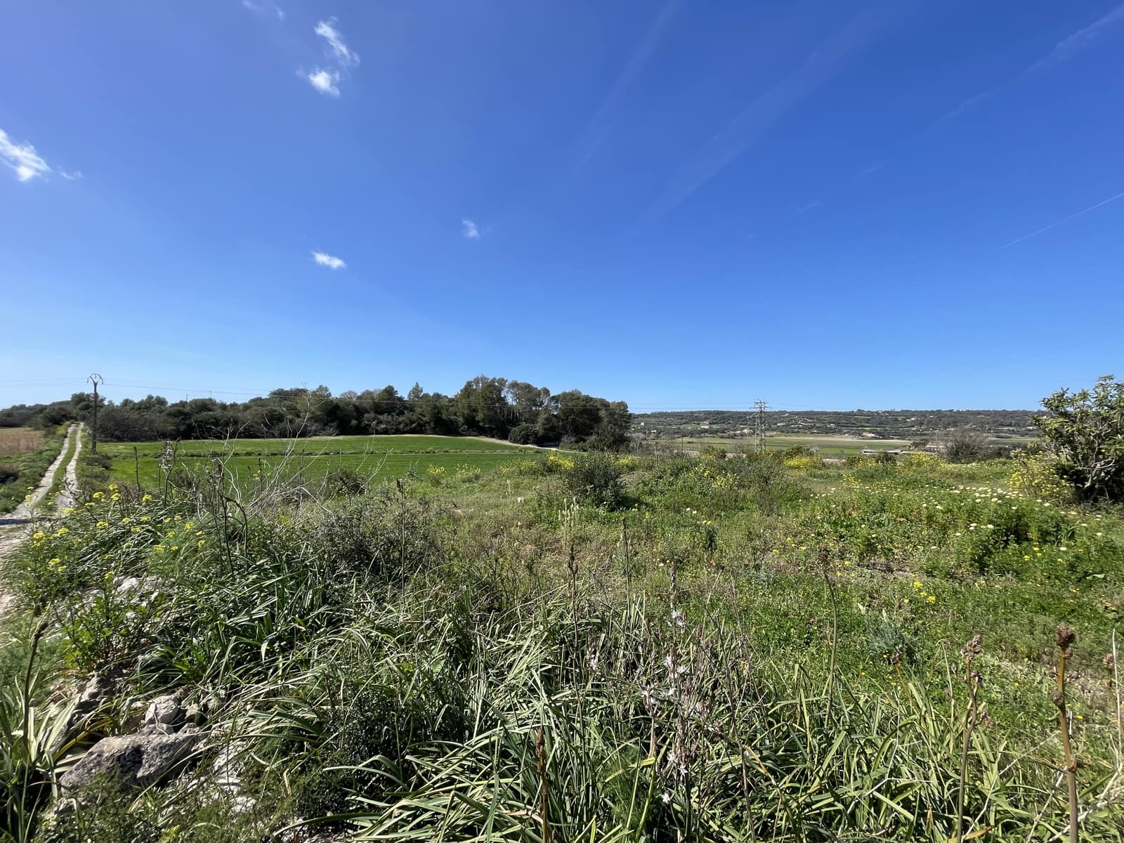 Byggetomt til salgs i Manacor - € 200 000 (Ref: 7459503)