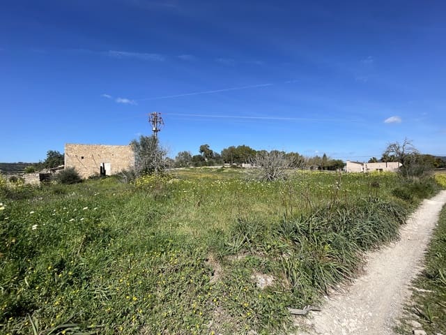 Byggetomt til salgs i Manacor - € 200 000 (Ref: 7459503)