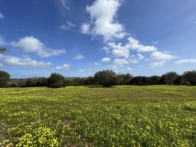 Building Plot for sale in Manacor - € 280,000 (Ref: 7472022)