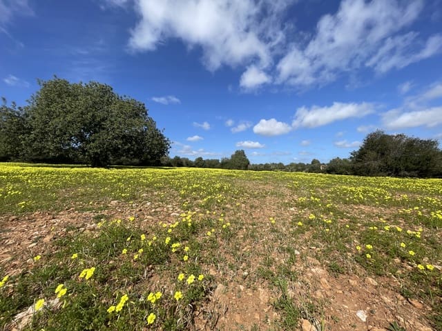Building Plot for sale in Manacor - € 280,000 (Ref: 7472022)