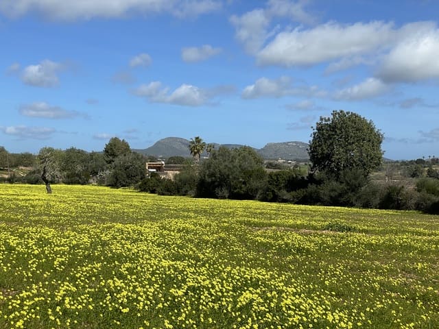 Building Plot for sale in Manacor - € 280,000 (Ref: 7472022)