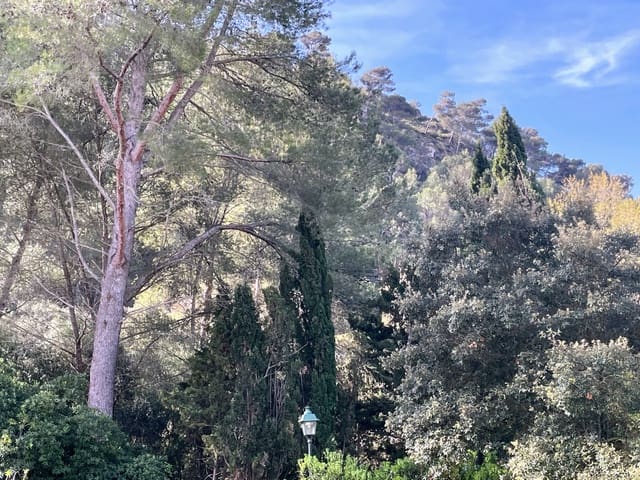 Bouwgrond te koop in Cala San Vicente / Cala Sant Vicenç, Pollensa / Pollença - € 500.000 (Ref: 7506691)