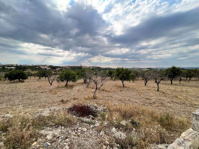 Byggegrund til salg i Campanet - € 950.000 (Ref: 7643893)