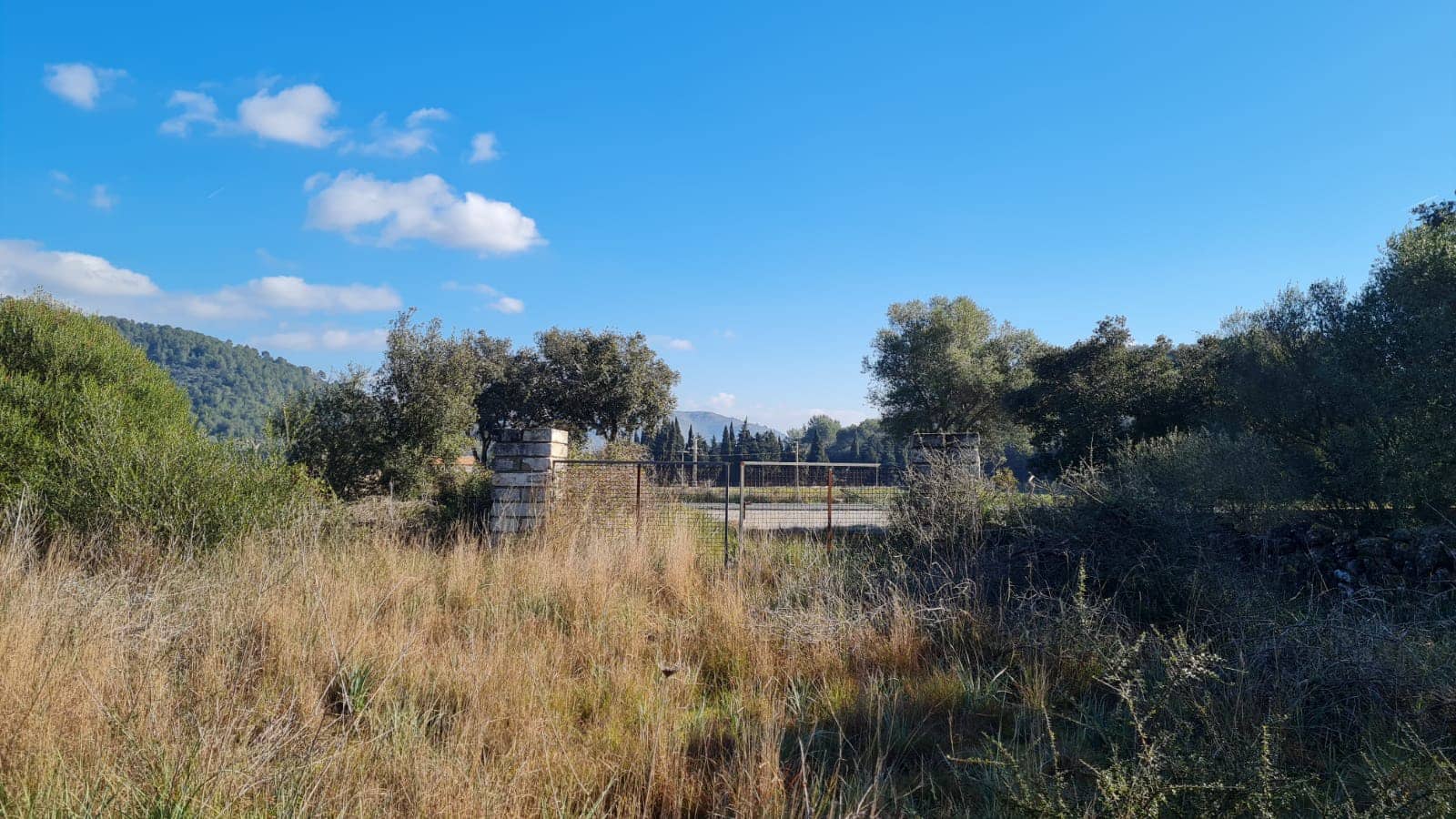 Byggegrund til salg i Sa Pobla - € 795.000 (Ref: 7694459)