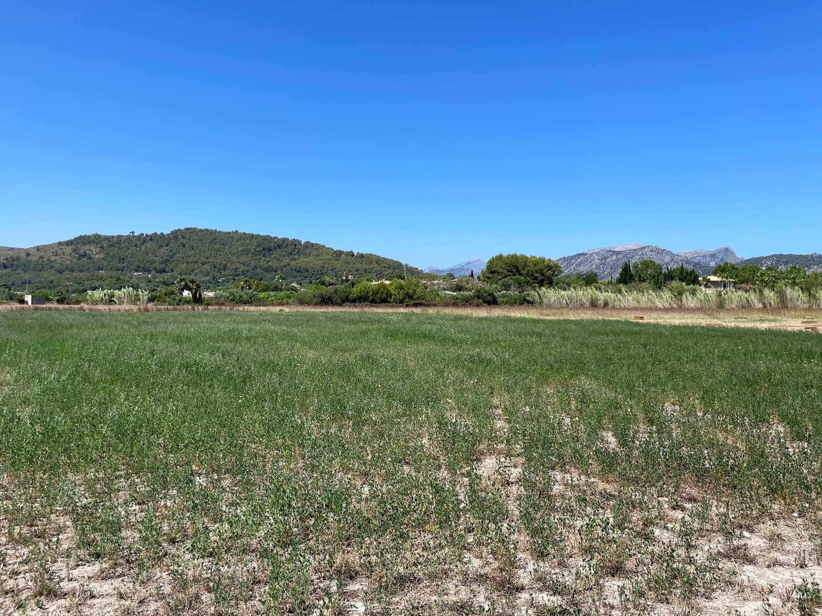 Building Plot for sale in Alcudia - € 989,000 (Ref: 7699005)