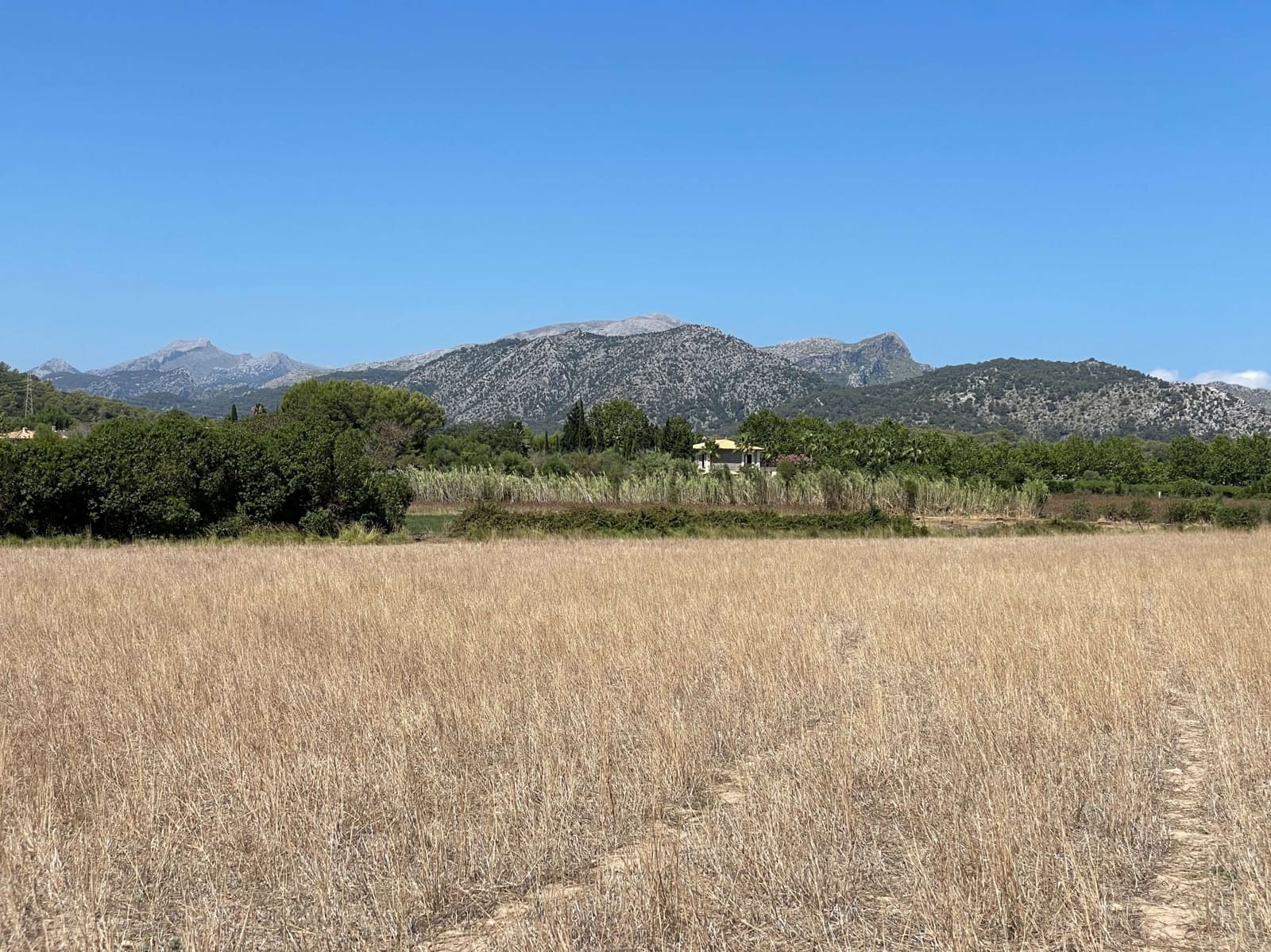 Building Plot for sale in Alcudia - € 989,000 (Ref: 7699005)