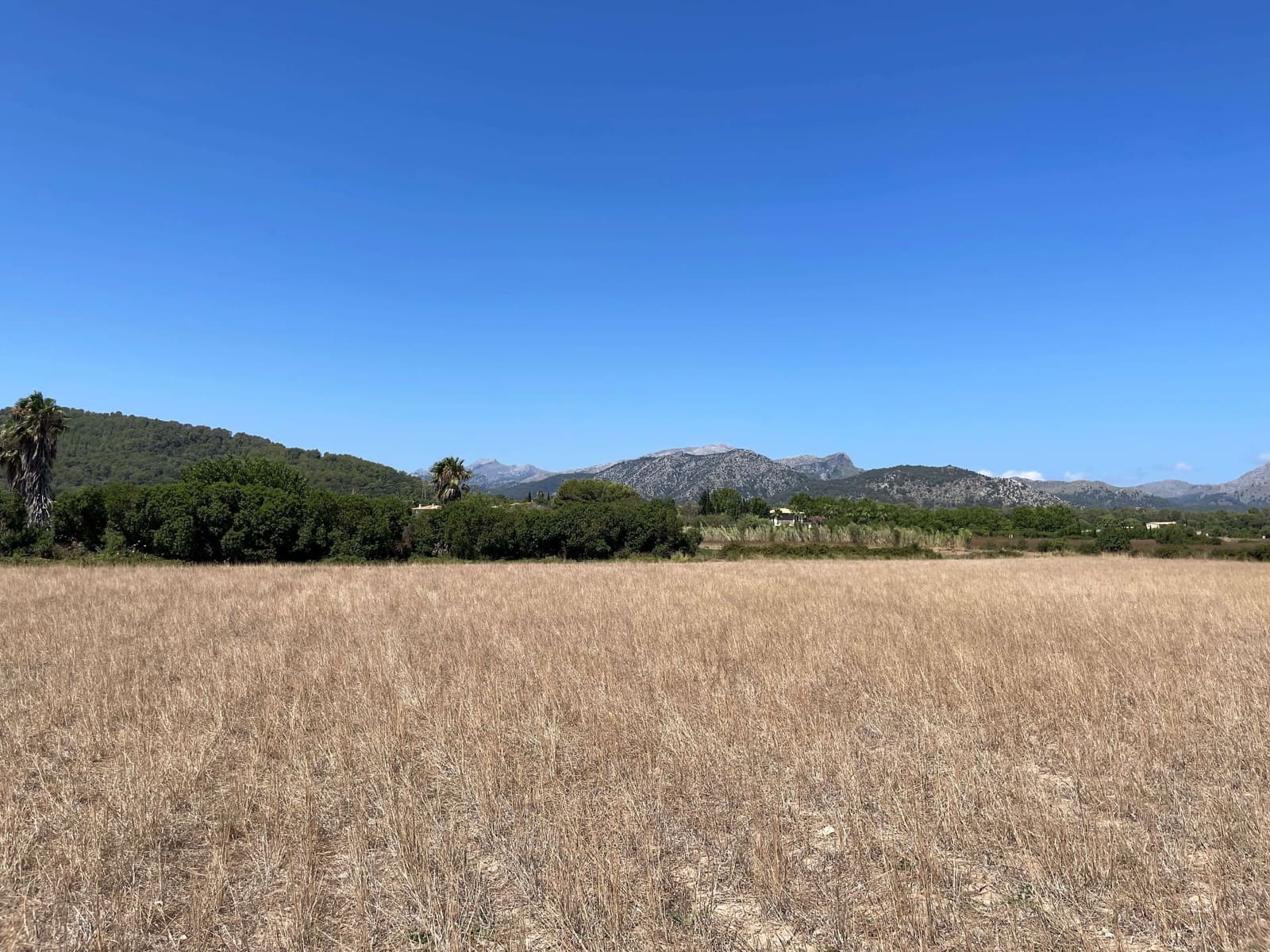 Building Plot for sale in Alcudia - € 989,000 (Ref: 7699005)
