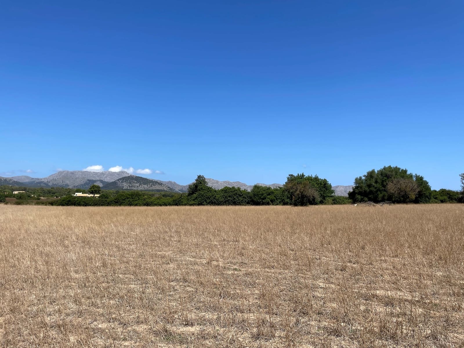 Building Plot for sale in Alcudia - € 989,000 (Ref: 7699005)