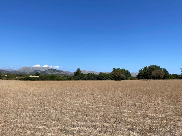 Byggetomt til salgs i Alcúdia - € 989 000 (Ref: 7699005)