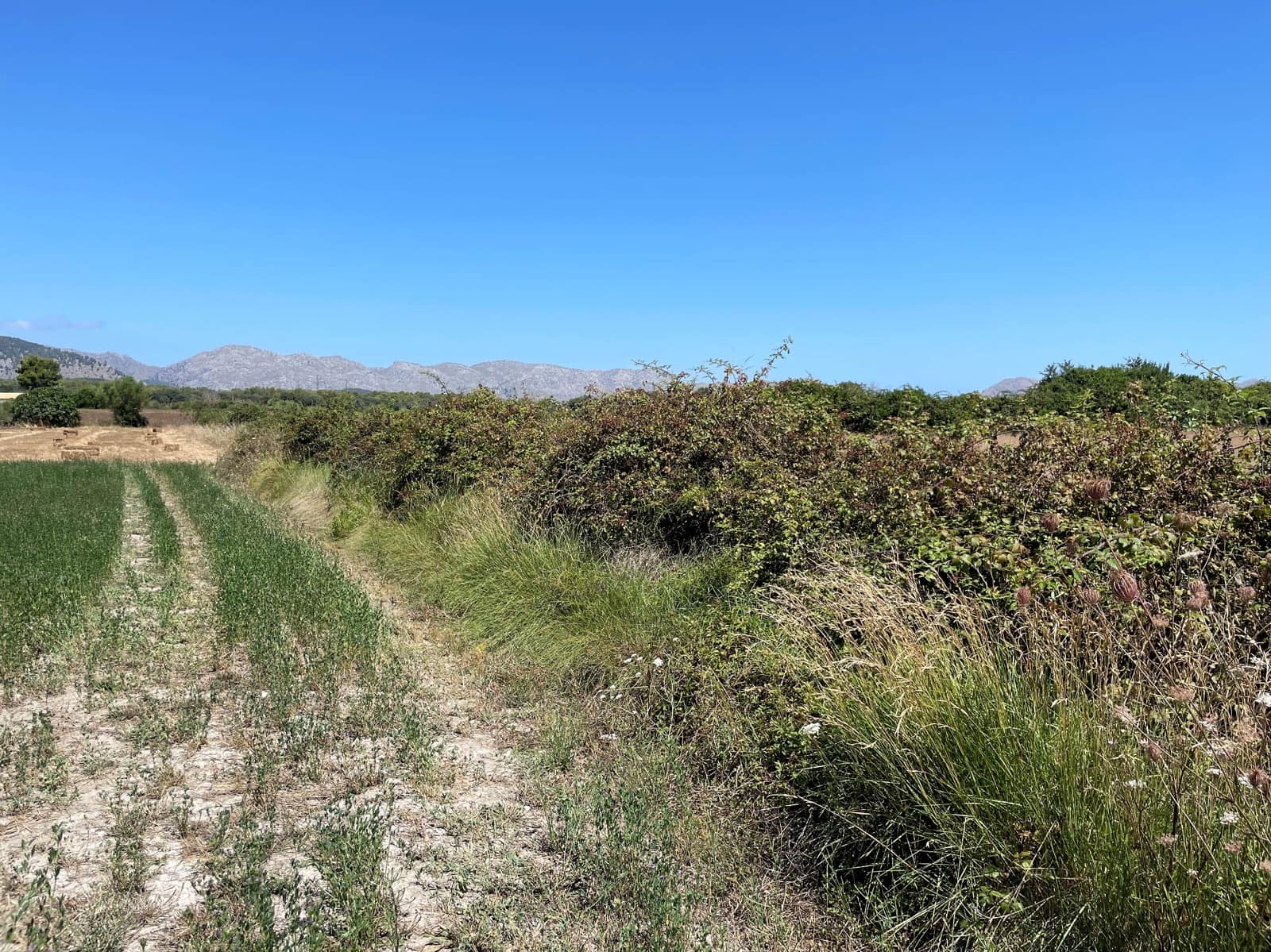 Building Plot for sale in Alcudia - € 989,000 (Ref: 7699005)
