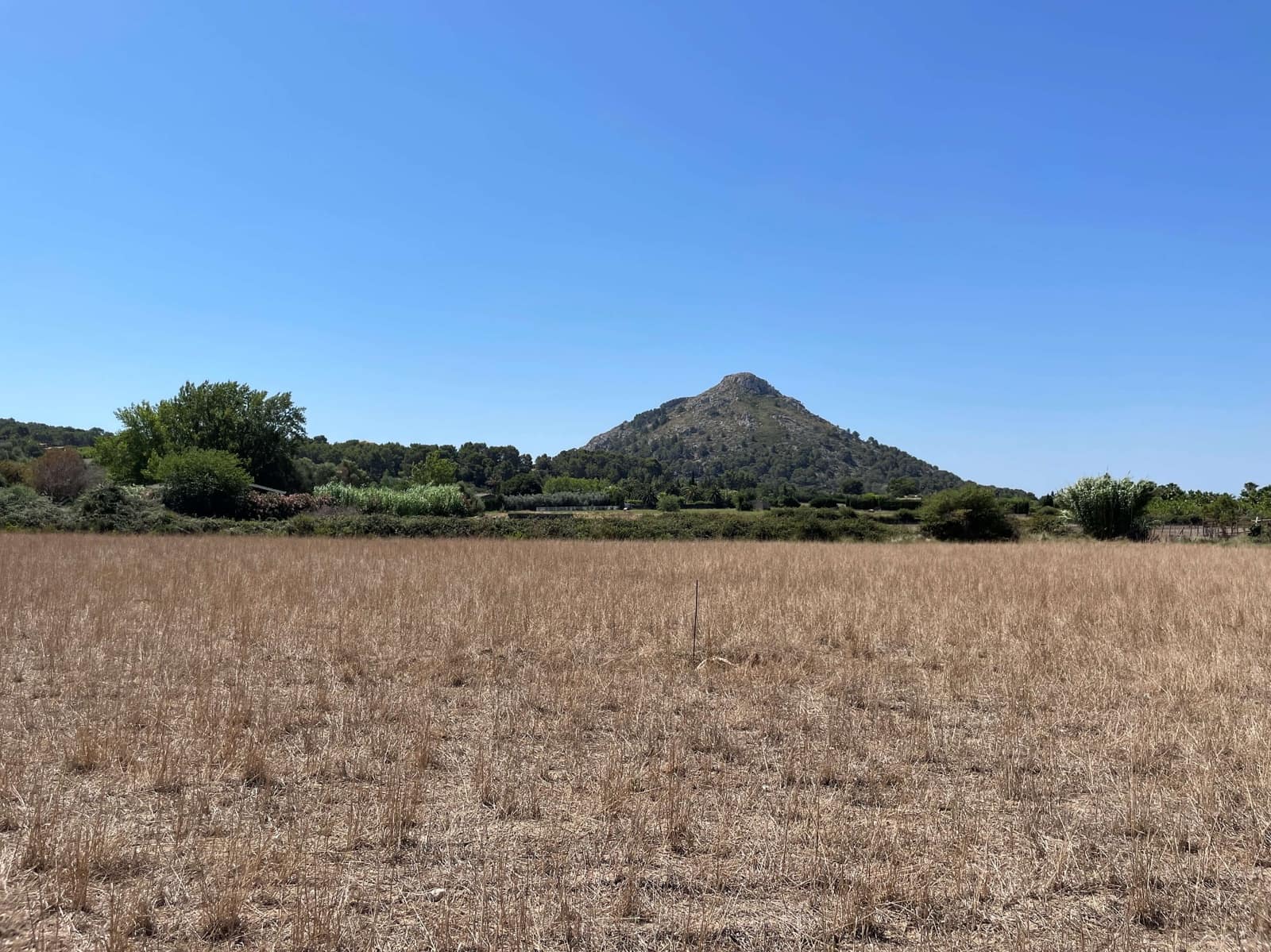 Building Plot for sale in Alcudia - € 989,000 (Ref: 7699005)