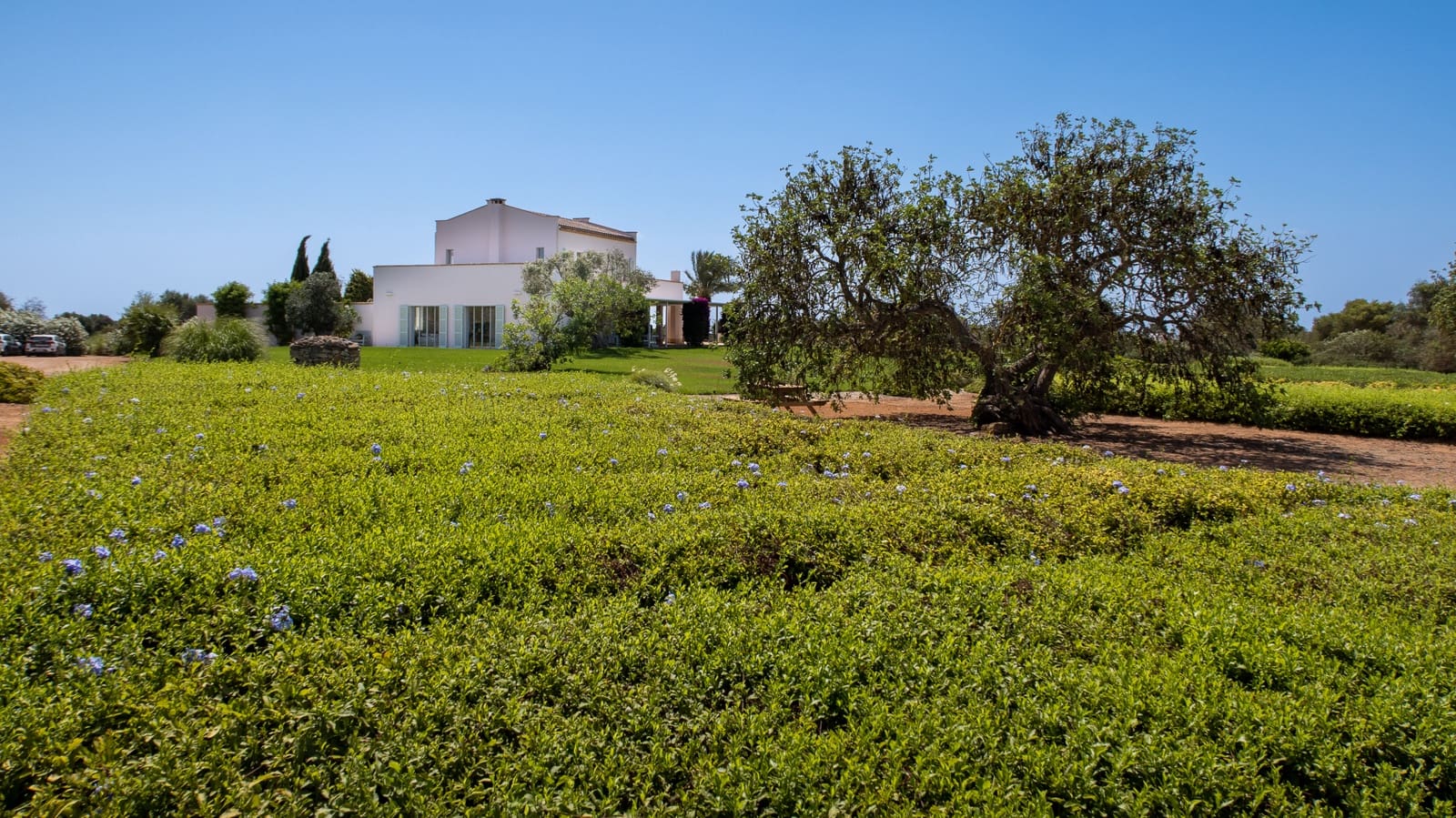 3 soveværelse Finca/Landehus til salg i Santanyi med swimmingpool garage - € 3.250.000 (Ref: 7709769)