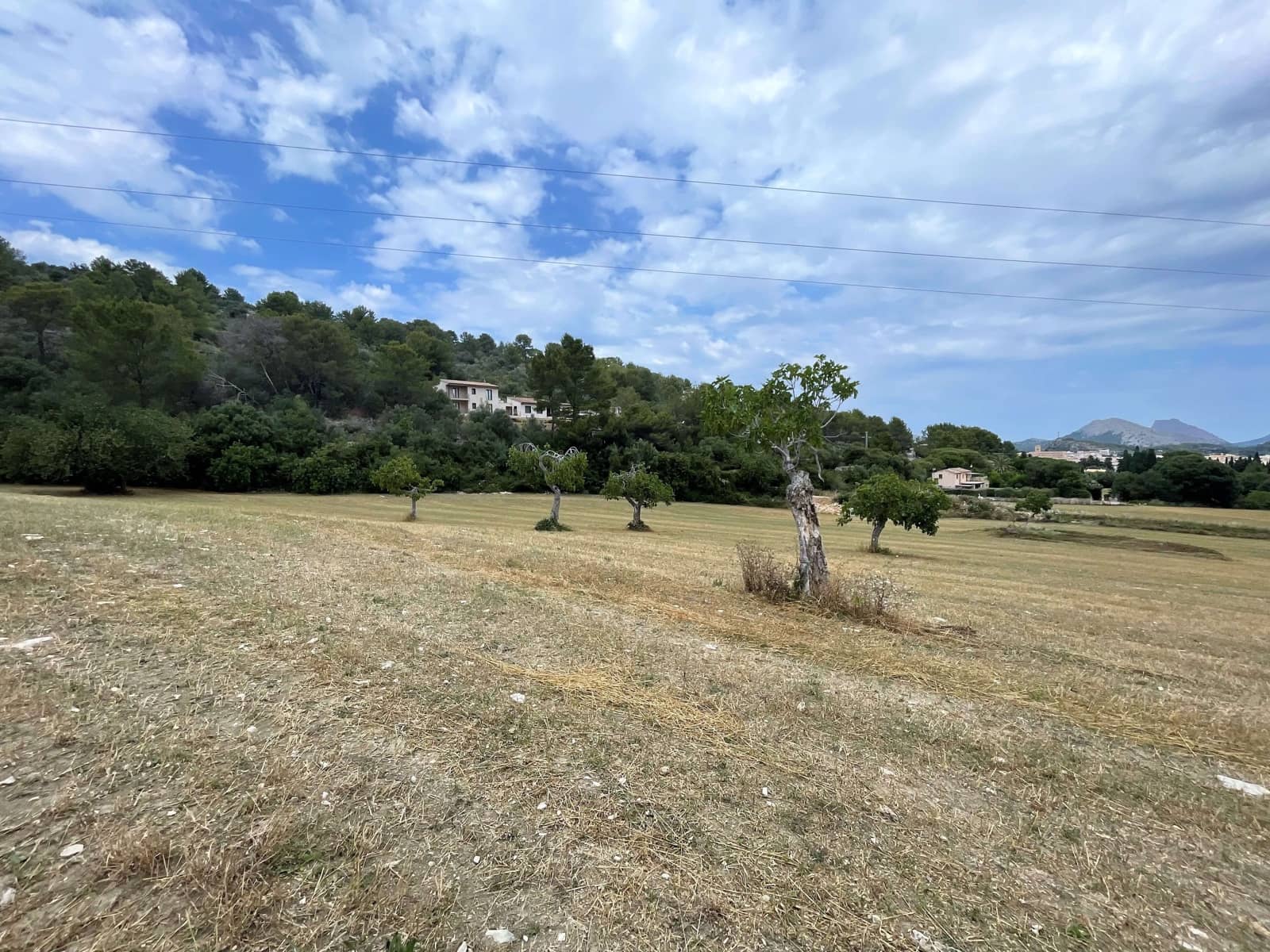 Area Edificabile in vendita in Pollensa / Pollenca - 2.000.000 € (Rif: 7722650)