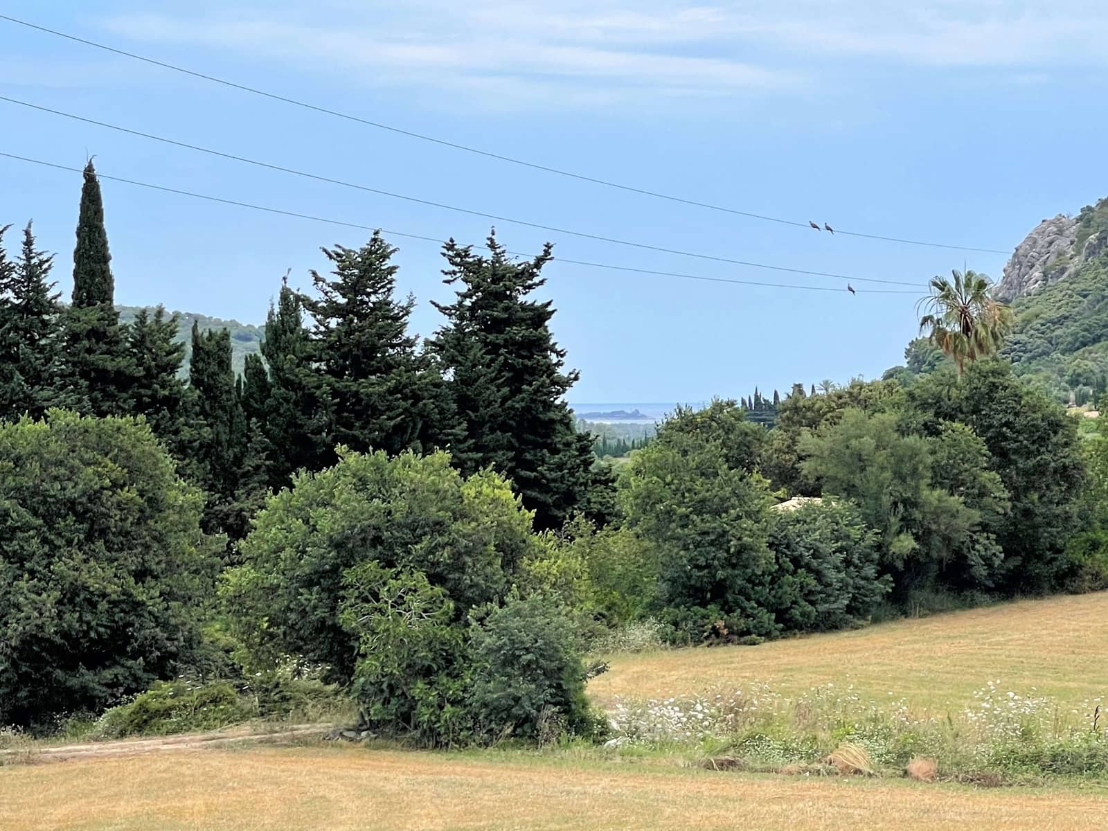 Area Edificabile in vendita in Pollensa / Pollenca - 2.000.000 € (Rif: 7722650)