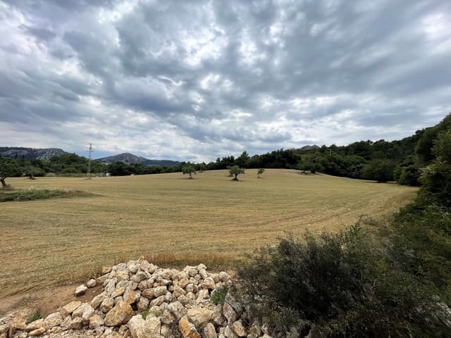 Building Plot for sale in Pollensa / Pollença - € 2,000,000 (Ref: 7722650)