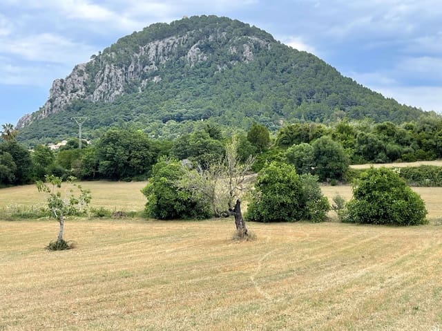 Building Plot for sale in Pollensa / Pollença - € 2,000,000 (Ref: 7722650)