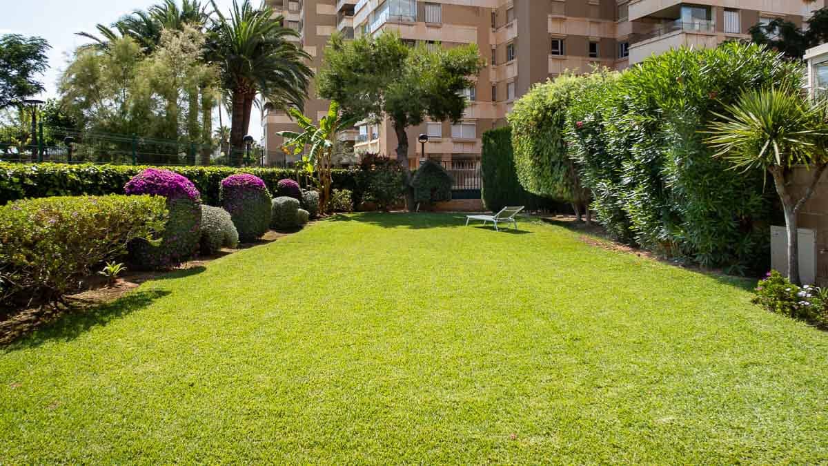 3 Zimmer Apartment zu vermieten in Palma de Mallorca mit Garage - 2.900 € (Ref: 7774514)