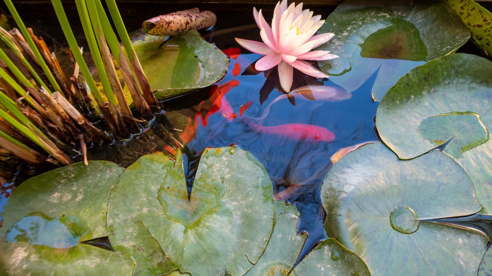 Casa de 4 habitaciones en Felanitx en venta con garaje - 1.925.000 € (Ref: 7810084)