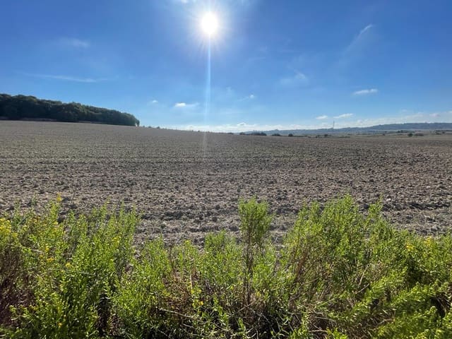 Bouwgrond te koop in María de la Salud / María de la Salut - € 315.000 (Ref: 7862946)