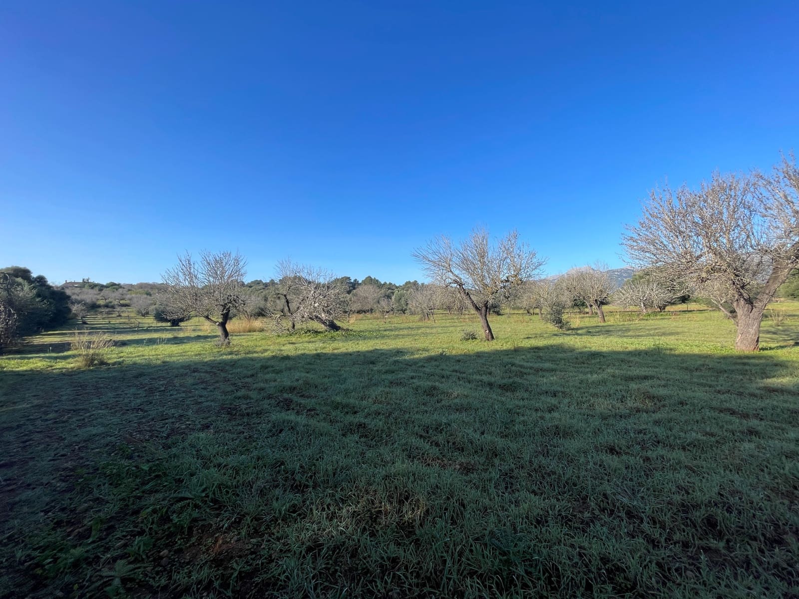 Bouwgrond te koop in Campanet - € 500.000 (Ref: 8049528)