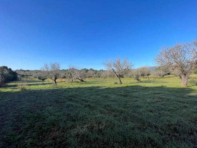 Byggegrund til salg i Campanet - € 500.000 (Ref: 8049528)