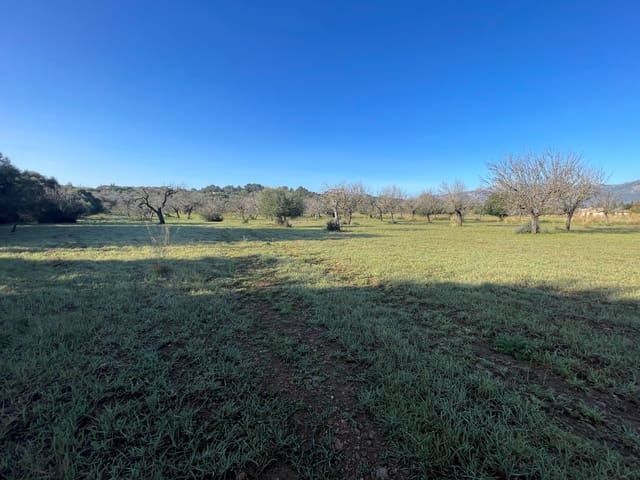 Byggegrund til salg i Campanet - € 500.000 (Ref: 8049528)