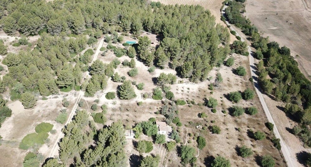3 soveværelse Finca/Landehus til salg i Calvia med swimmingpool garage - € 2.200.000 (Ref: 8099989)