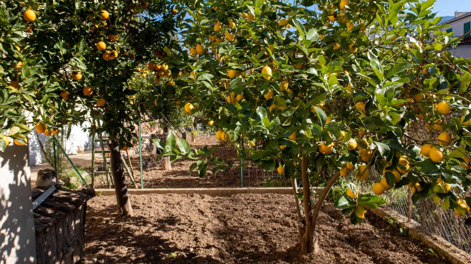 6 soveværelse Byhus til salg i Soller med garage - € 1.100.000 (Ref: 8099991)