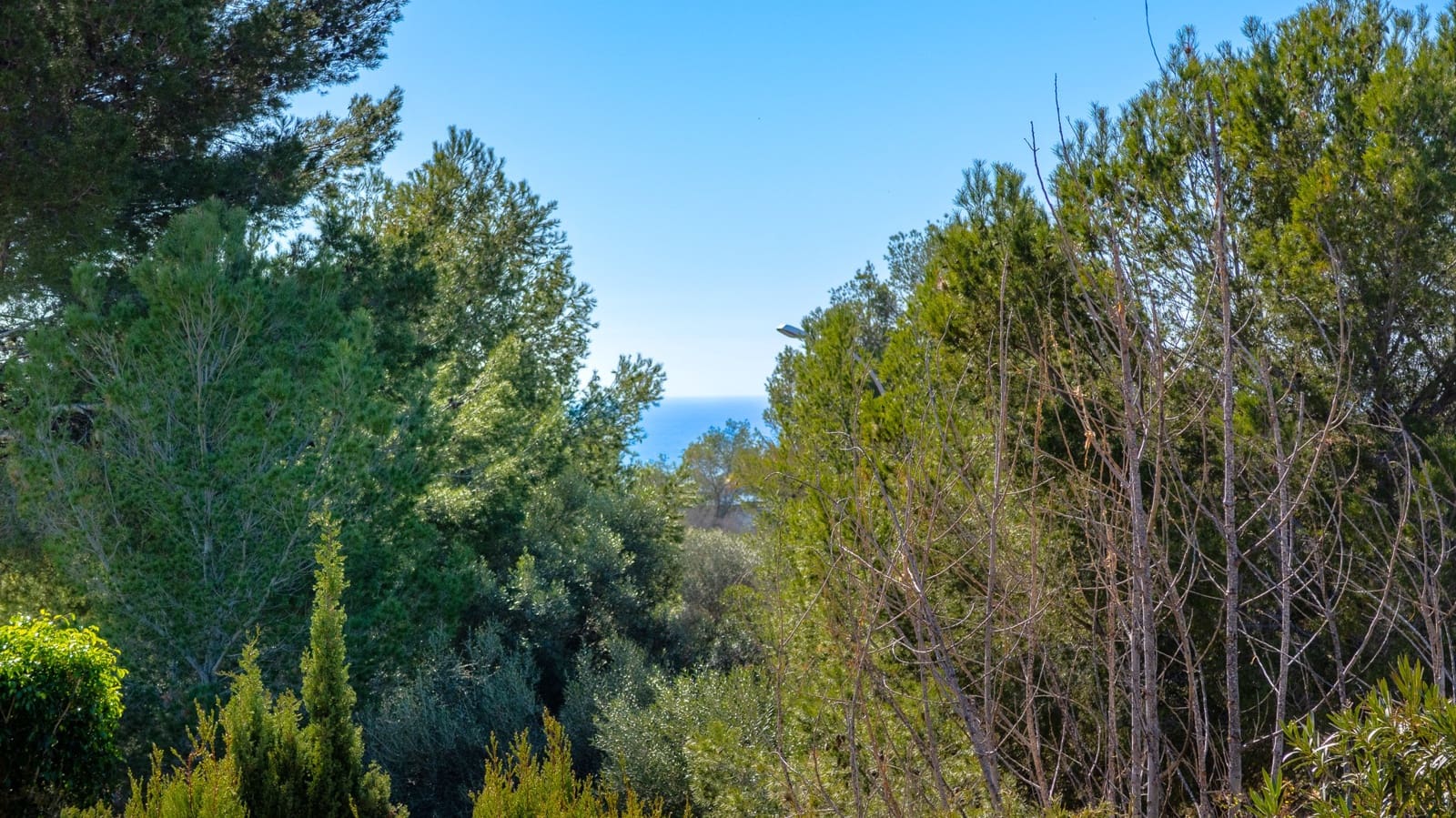 4 Zimmer Villa zu verkaufen in Santa Ponsa mit Pool Garage - 2.900.000 € (Ref: 8118239)