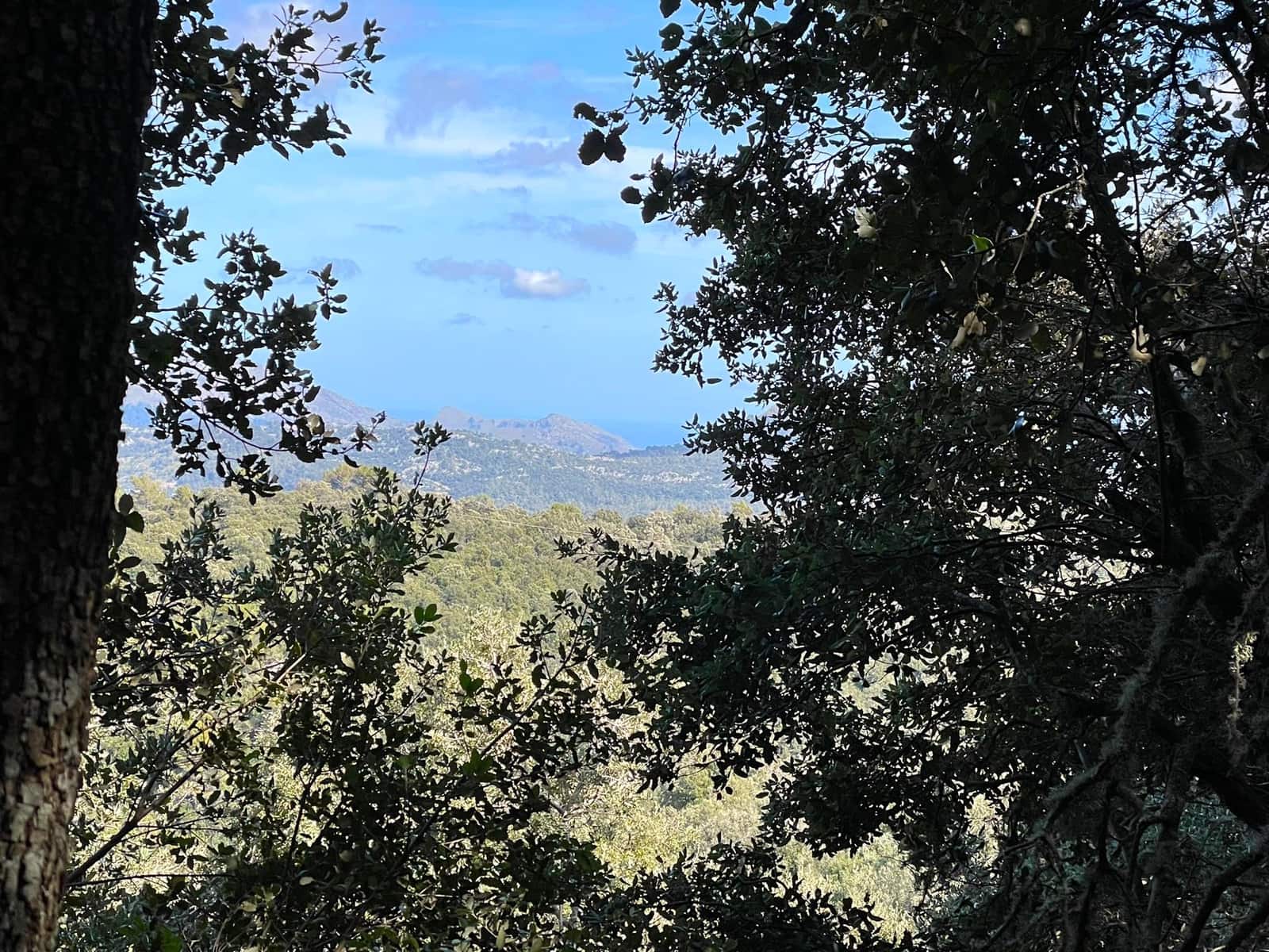 3 quarto Quinta/Casa Rural para venda em Escorca com garagem - 1 150 000 € (Ref: 8147021)