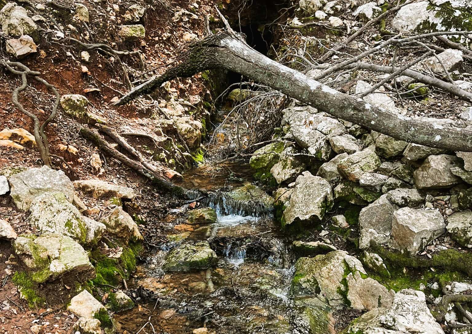 3 quarto Quinta/Casa Rural para venda em Escorca com garagem - 1 150 000 € (Ref: 8147021)