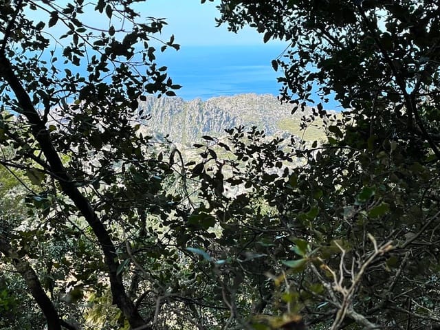 3 camera da letto Finca/Casa di Campagna in vendita in Escorca con garage - 1.150.000 € (Rif: 8147021)