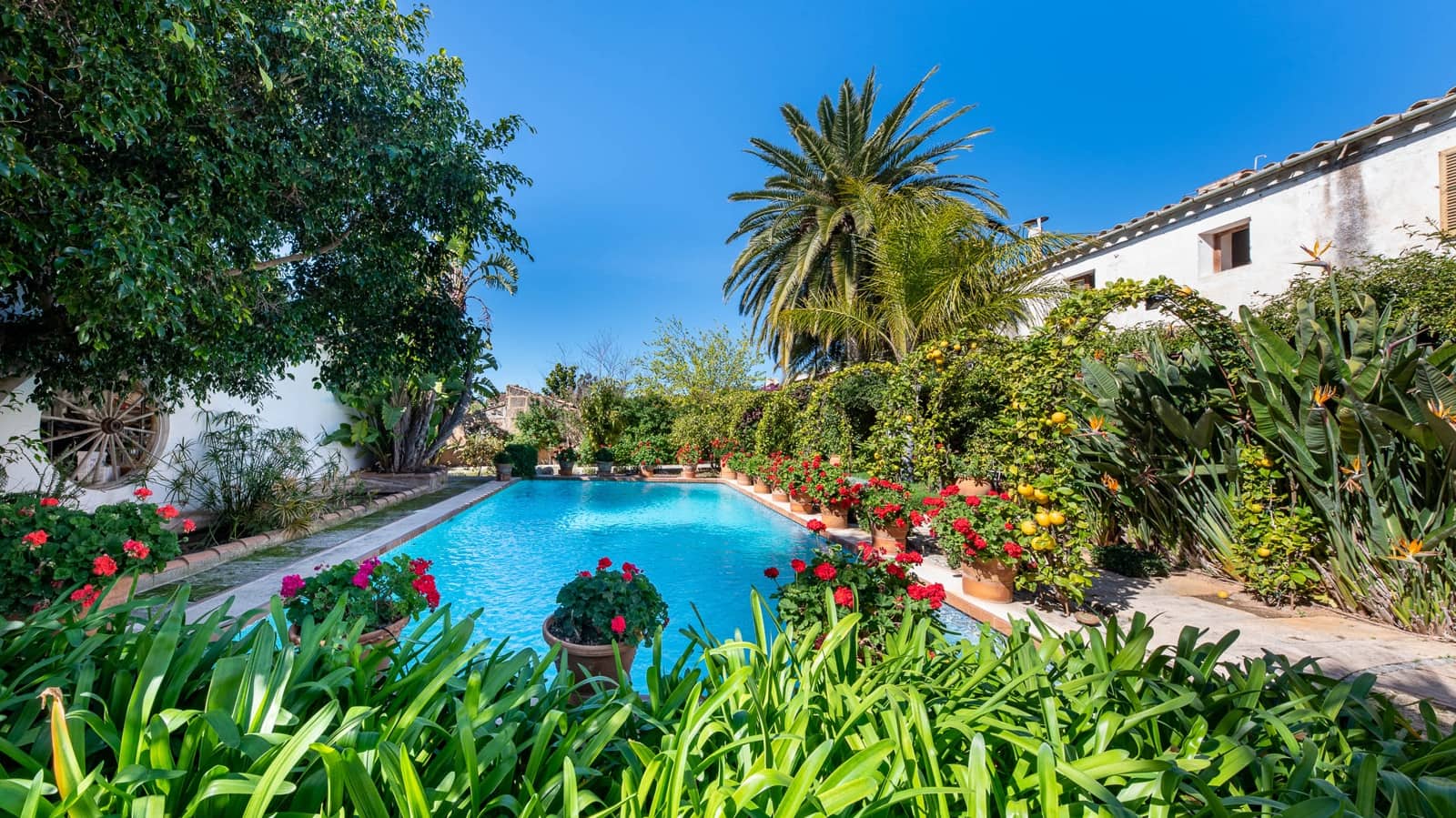 6 camera da letto Finca/Casa di Campagna in vendita in Calvia con piscina garage - 1.700.000 € (Rif: 8181307)
