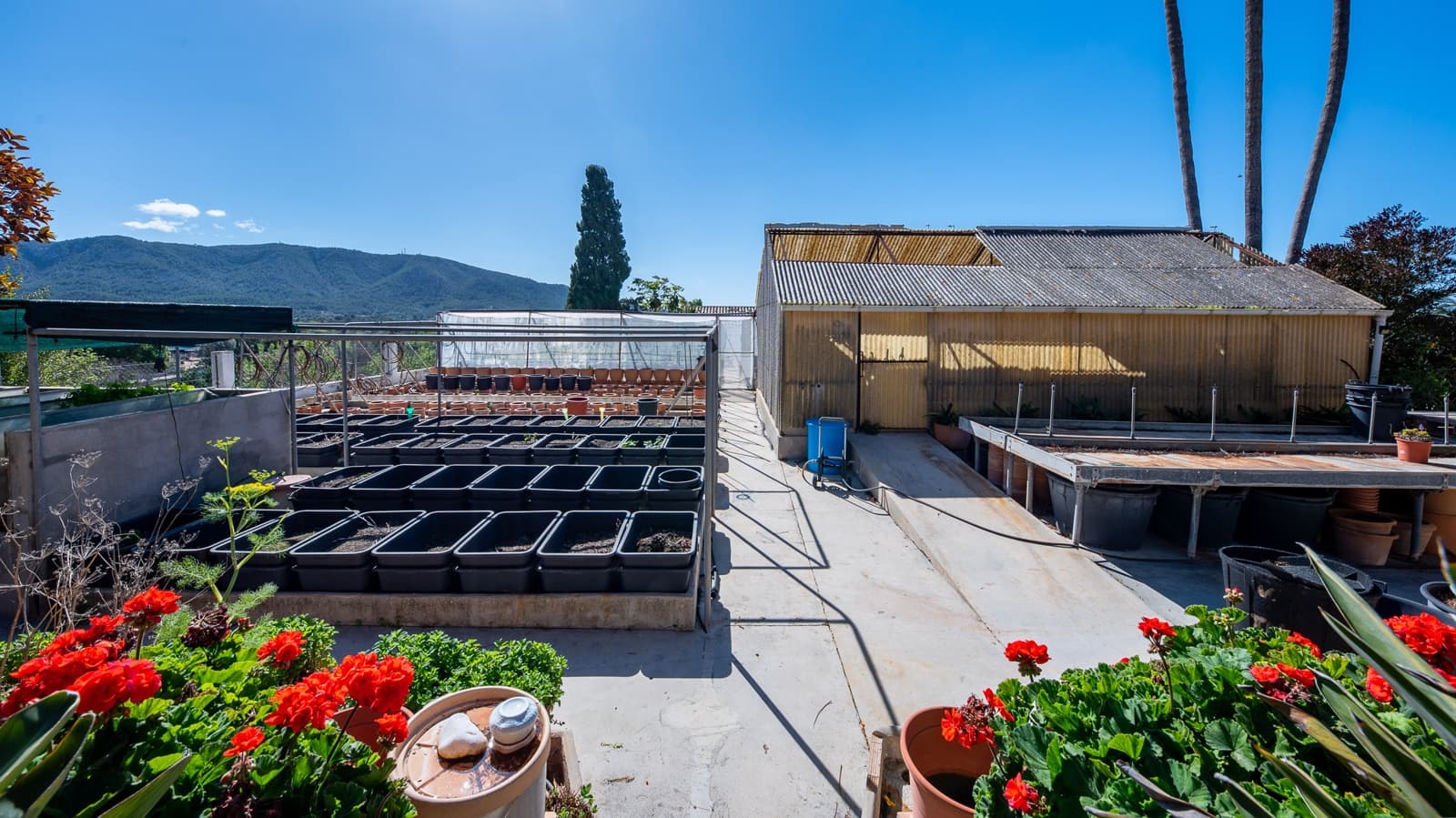 6 camera da letto Finca/Casa di Campagna in vendita in Calvia con piscina garage - 1.700.000 € (Rif: 8181307)